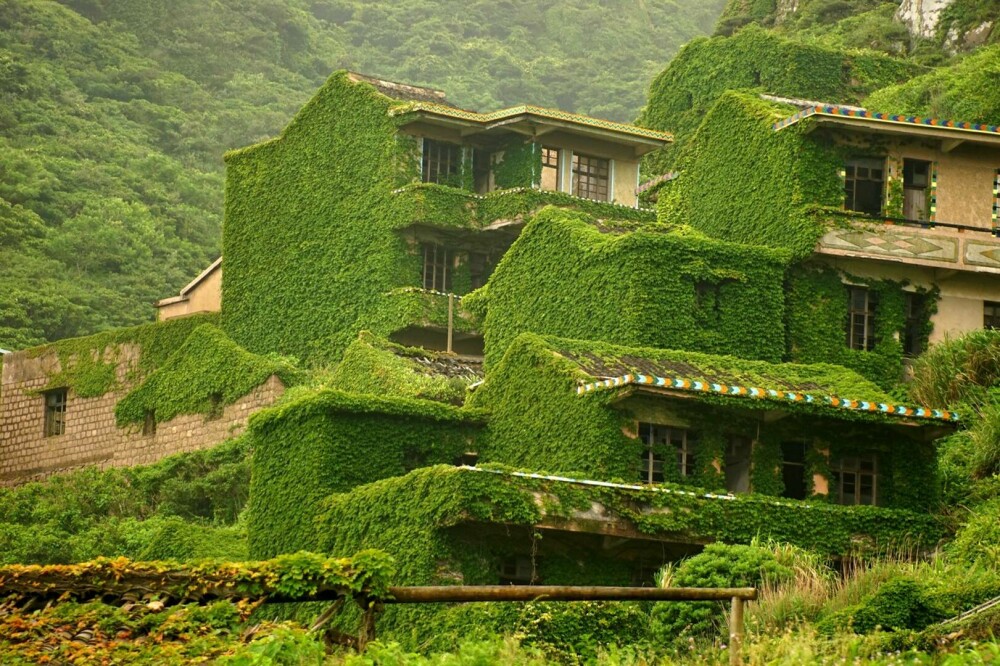 Un sat abandonat din China, înghițit de natură. Vegetația a acoperit complet casele uitate de localnici. FOTO - Imaginea 12