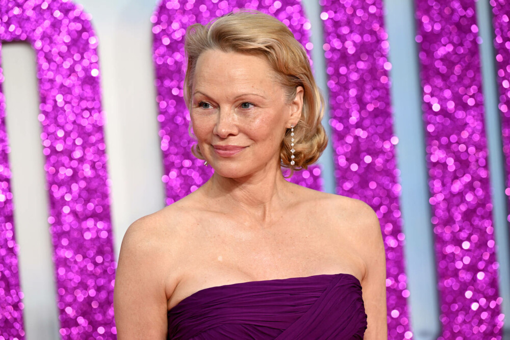 Pamela Anderson, gest neașteptat față de Liam Neeson, la premiera filmului „The Naked Gun”. GALERIE FOTO - Imaginea 27