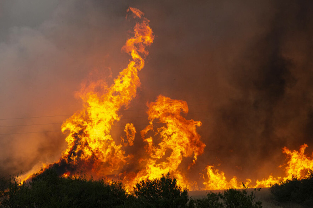 Incendiile de vegetație fac prăpăd în Bulgaria din cauza caniculei. „Ți se lipesc pantofii de asfalt. E incredibil de cald” - Imaginea 1