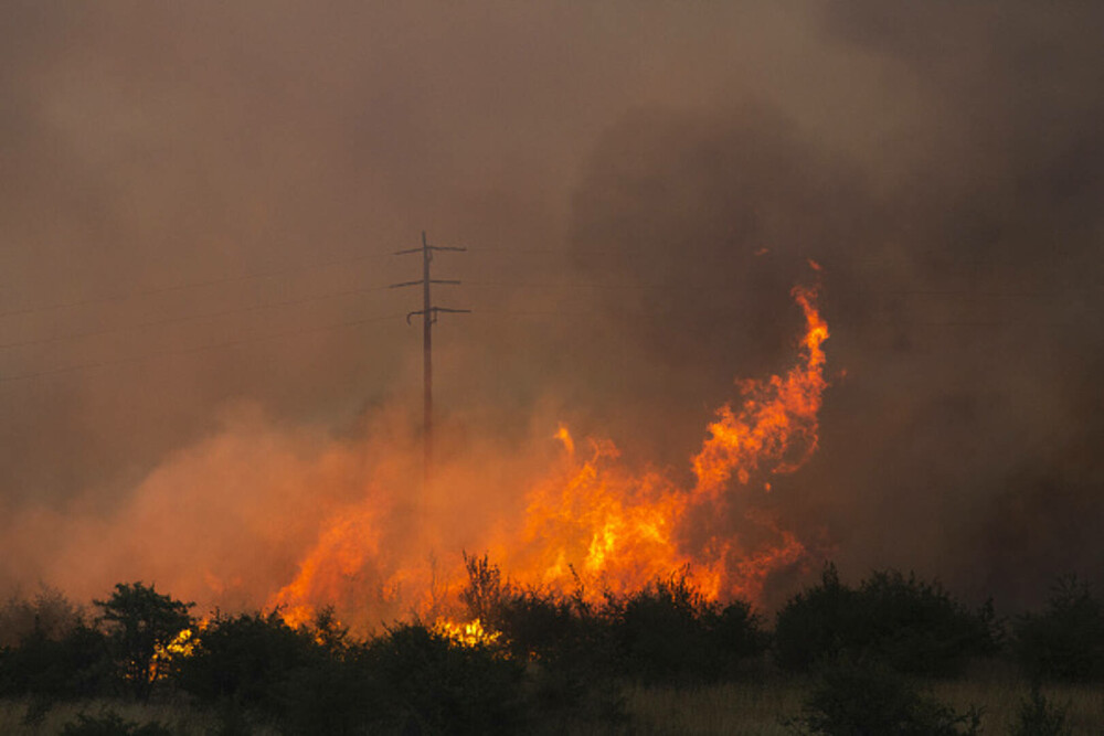 Incendiile de vegetație fac prăpăd în Bulgaria din cauza caniculei. „Ți se lipesc pantofii de asfalt. E incredibil de cald” - Imaginea 4