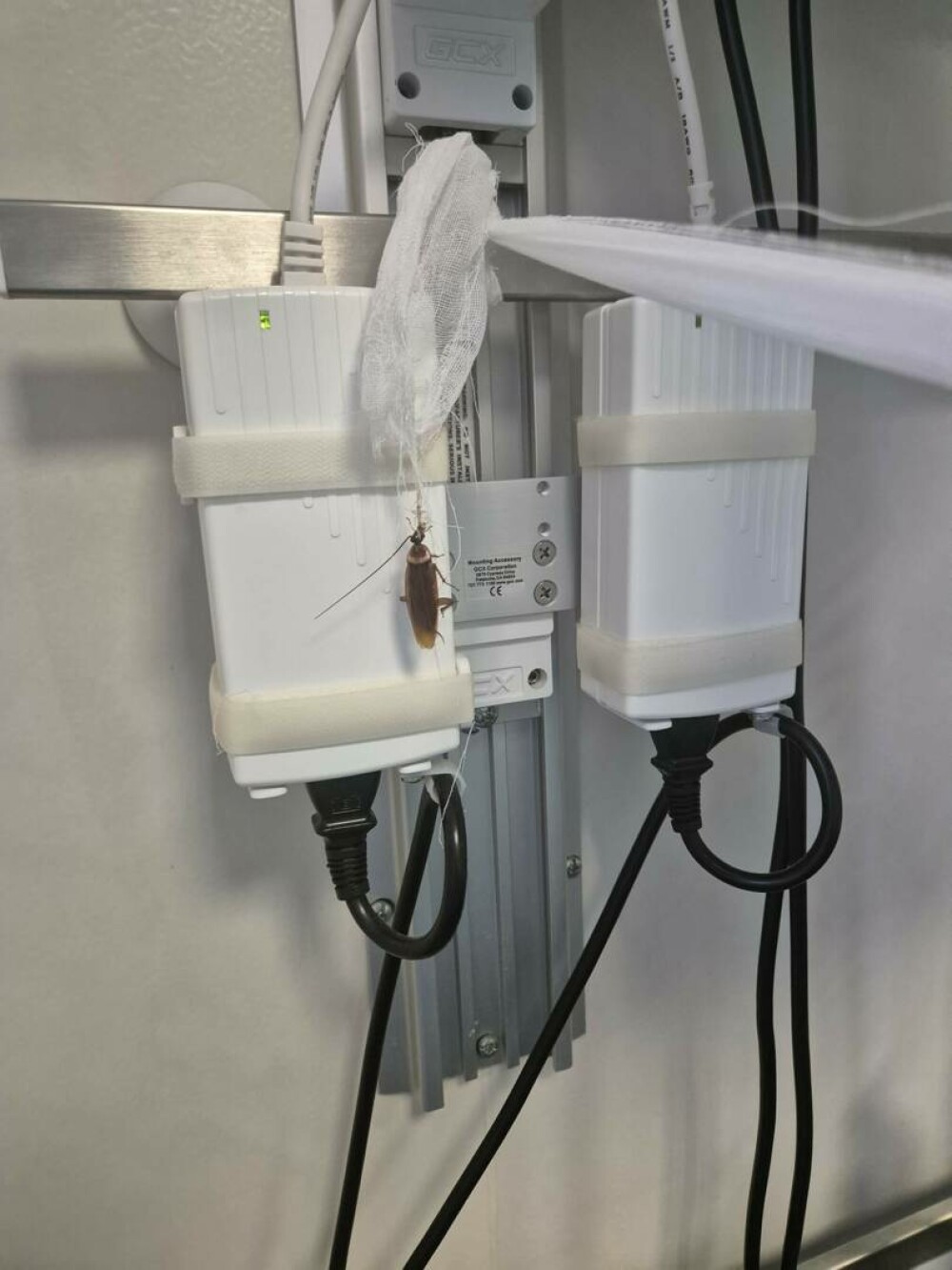 Ministerul Sănătății a trimis Corpul de Control la Spitalul Floreasca. Gândaci lângă patul unei paciente cu arsuri grave FOTO - Imaginea 4