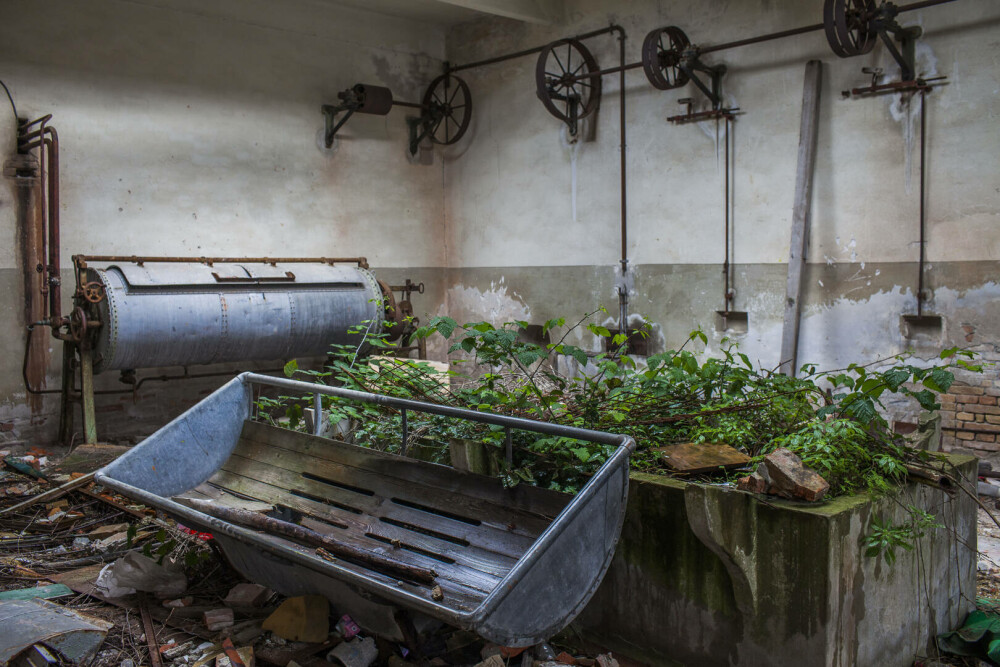 Insula „bântuită” din Veneția va deveni un paradis exclusiv pentru localnici. De ce turiștii nu vor avea acces - Imaginea 5