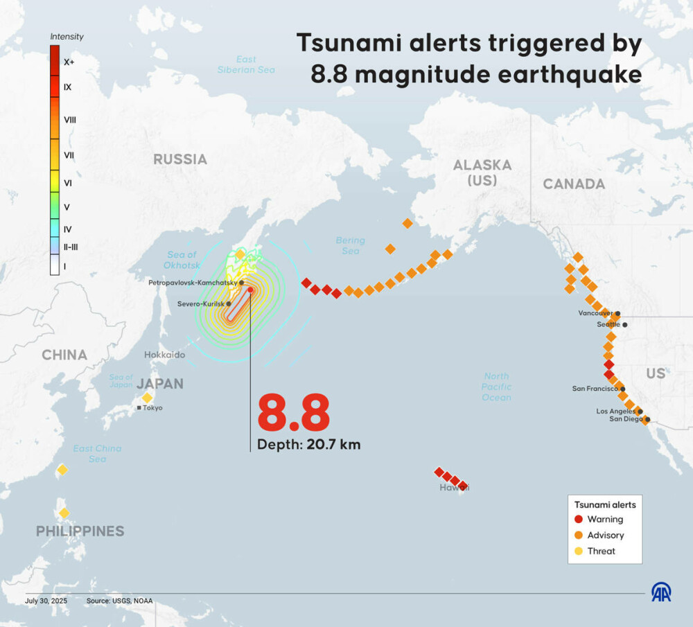 Balene uriașe, eșuate pe țărmul japonez, în urma cutremurului de 8,8 din peninsula Kamceatka. FOTO - Imaginea 7