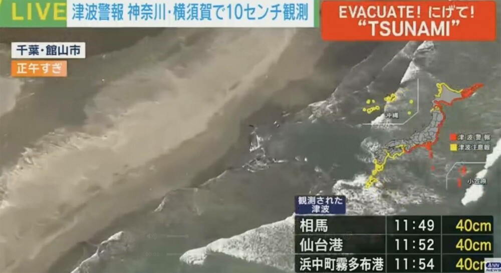 Balene uriașe, eșuate pe țărmul japonez, în urma cutremurului de 8,8 din peninsula Kamceatka. FOTO - Imaginea 3