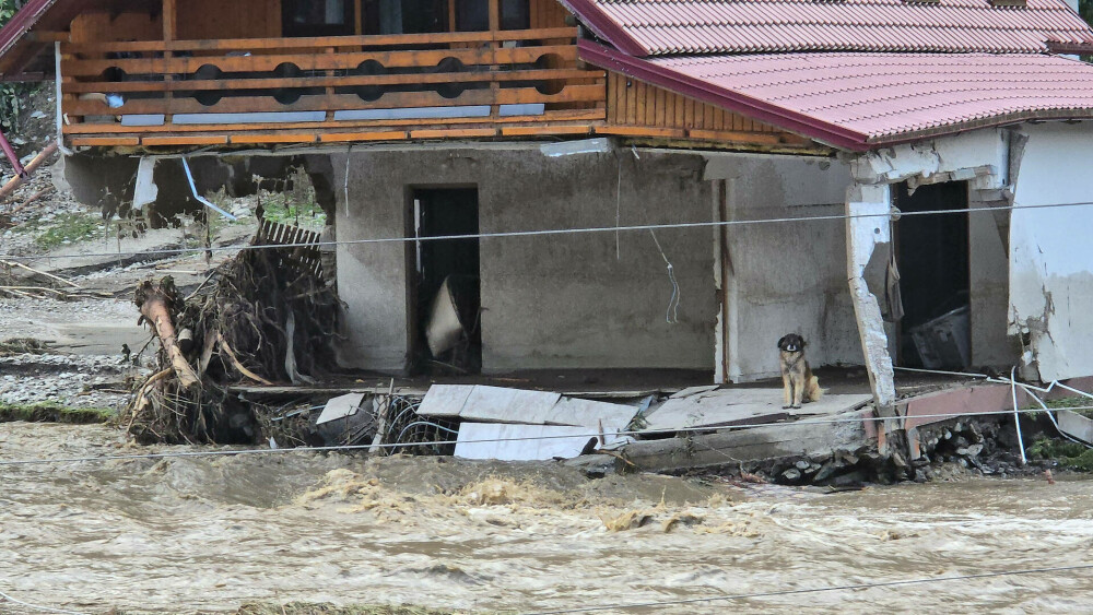 Peisaj apocaliptic în orașul sucevean Broșteni, devastat de inundații. 230 de persoane au fost salvate din situații critice - Imaginea 4