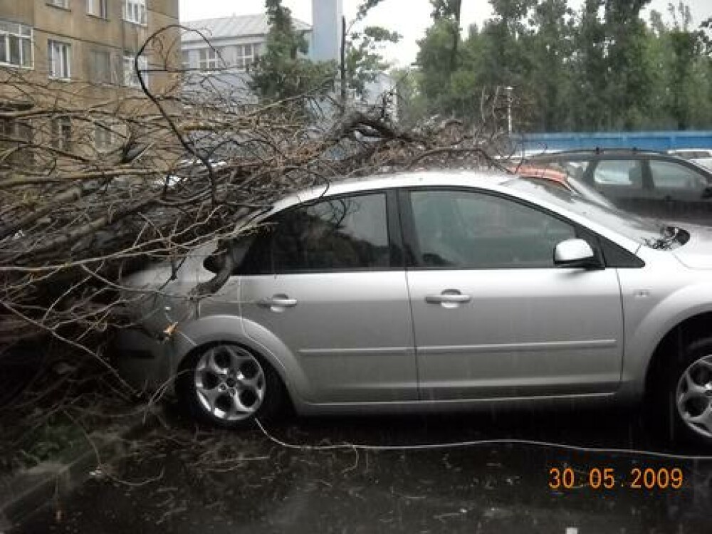 10 masini avariate din cauza unui copac doborat de vant - Imaginea 5
