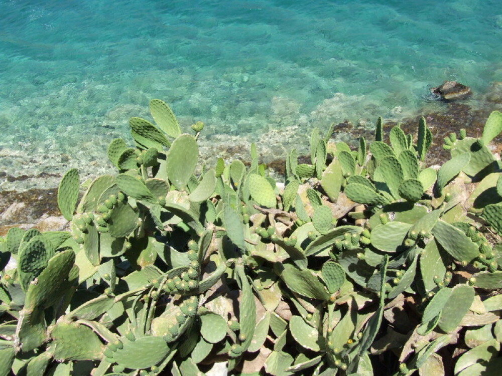 Creta si Santorini: mare, sare, vant, soare adormit - Imaginea 11