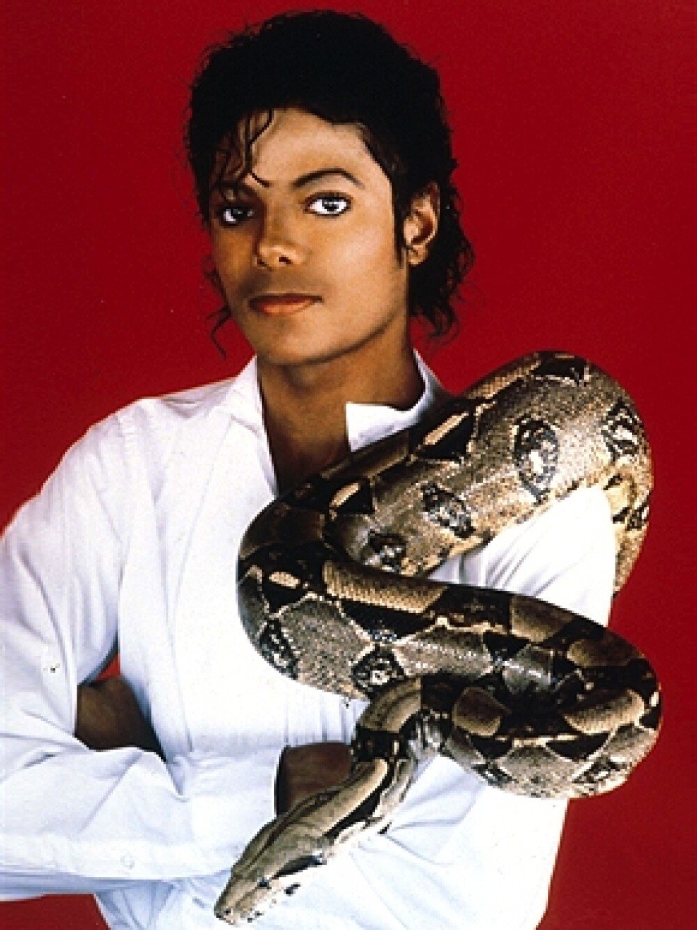 Michael Jackson, 