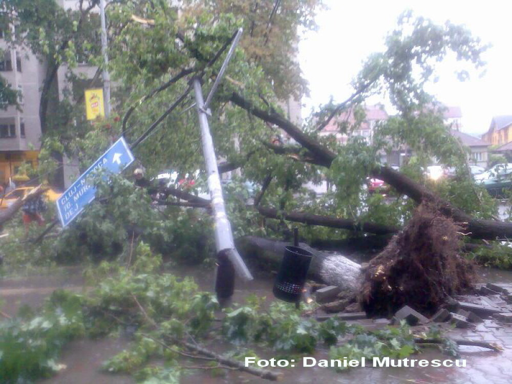 Urmarile furtunii din Bistrita: copaci smulsi si masini avariate - Imaginea 3