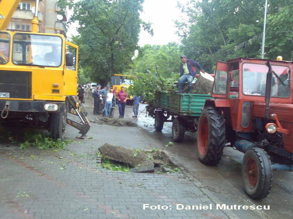 Urmarile furtunii din Bistrita: copaci smulsi si masini avariate - Imaginea 4