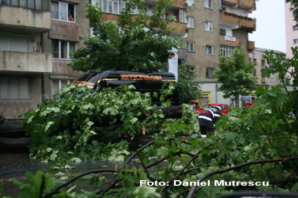 Urmarile furtunii din Bistrita: copaci smulsi si masini avariate - Imaginea 7