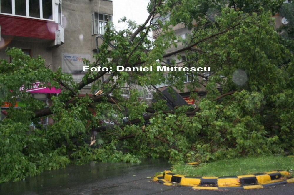 Urmarile furtunii din Bistrita: copaci smulsi si masini avariate - Imaginea 8