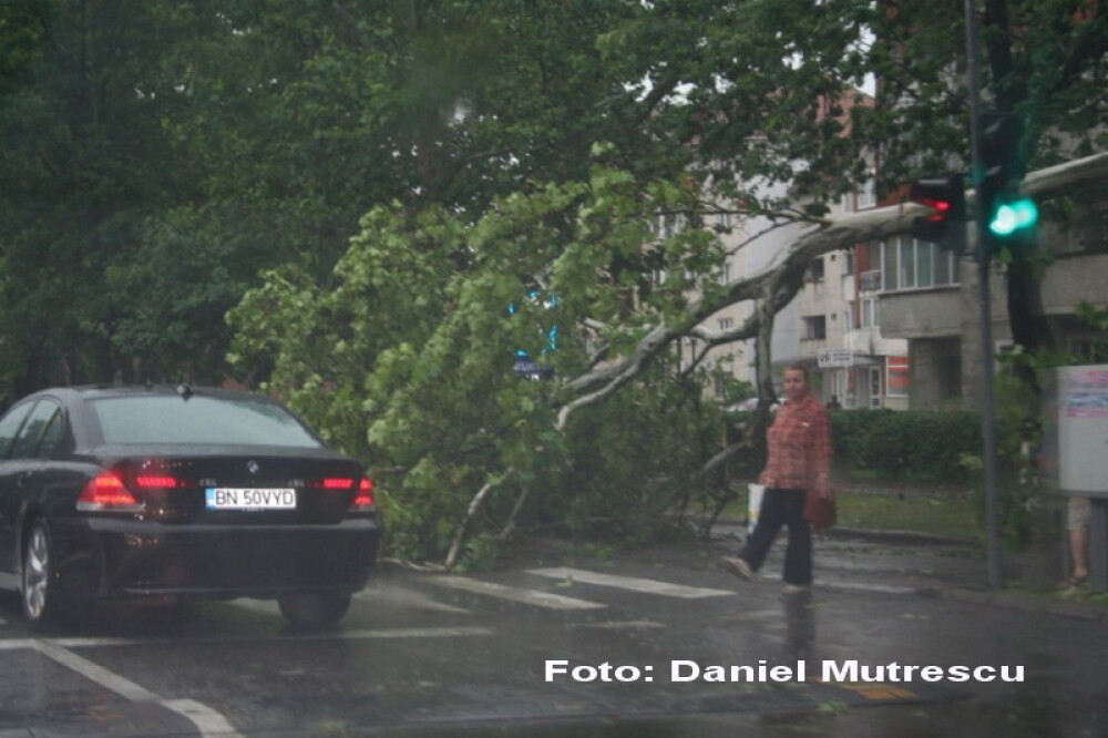 Urmarile furtunii din Bistrita: copaci smulsi si masini avariate - Imaginea 9