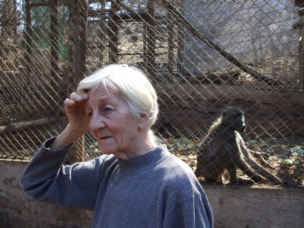Asa ceva nu se uita! Vacanta de voluntar la crescut maimute in Africa - Imaginea 5
