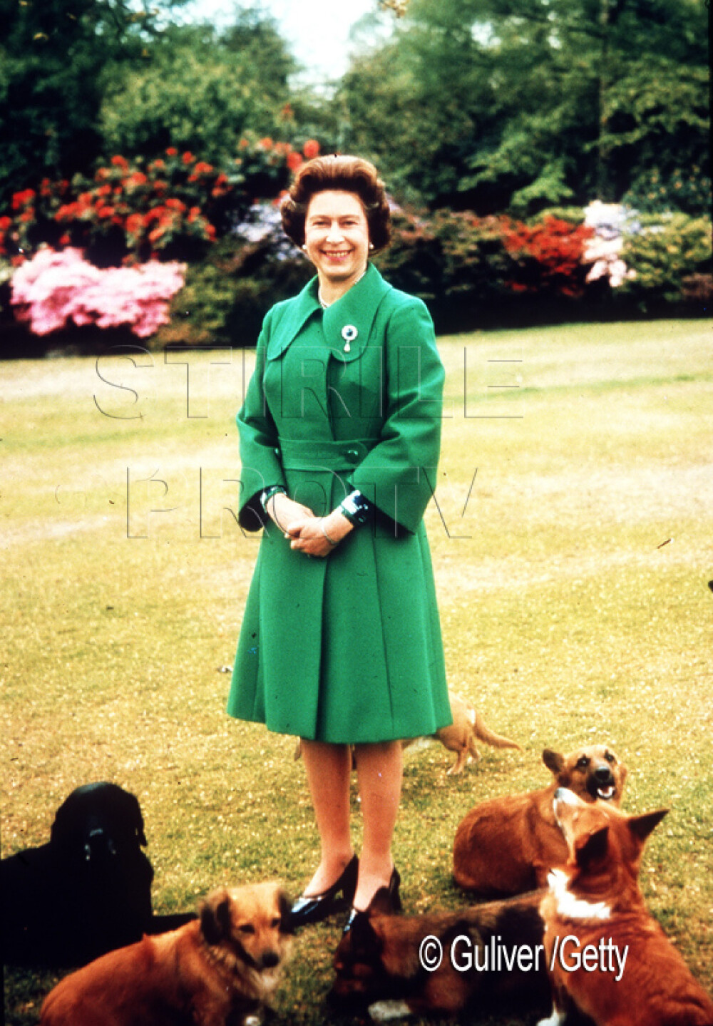 60 de ani in care coroana i-a definit viata. Transformarea in imagini a Reginei Elisabeta a II-a - Imaginea 5