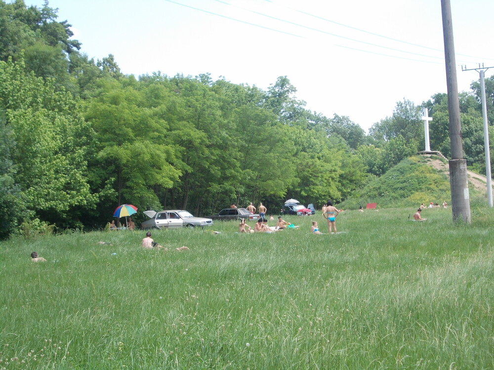 Timisorenii sarbatoresc Rusaliile la iarba verde cu mici si bere. Altii se racoresc la strand - Imaginea 6