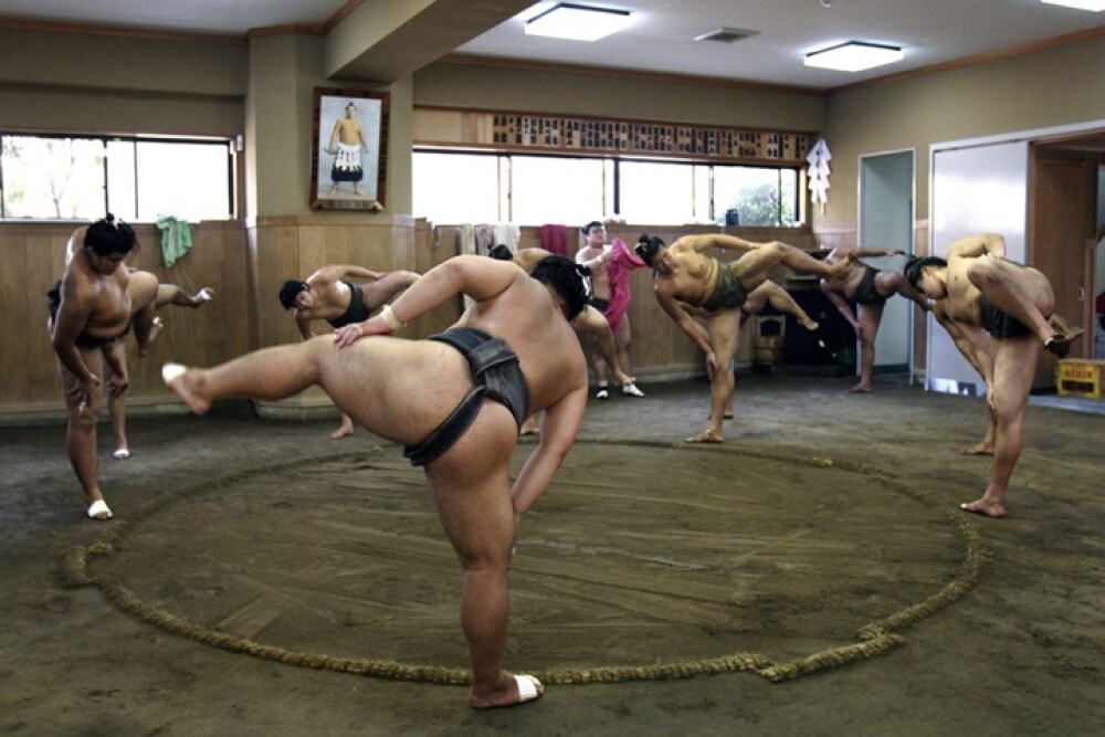 Imagini unice surprinse din lumea luptatorilor de sumo. Cum arata cand nu sunt in ring - Imaginea 8