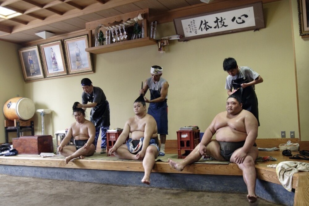 Imagini unice surprinse din lumea luptatorilor de sumo. Cum arata cand nu sunt in ring - Imaginea 2