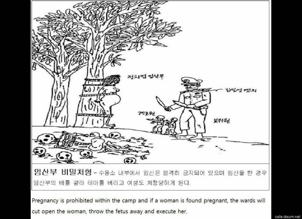Imagini tulburatoare din lagarele Nord-Coreene realizate de un supravietuitor - Imaginea 5