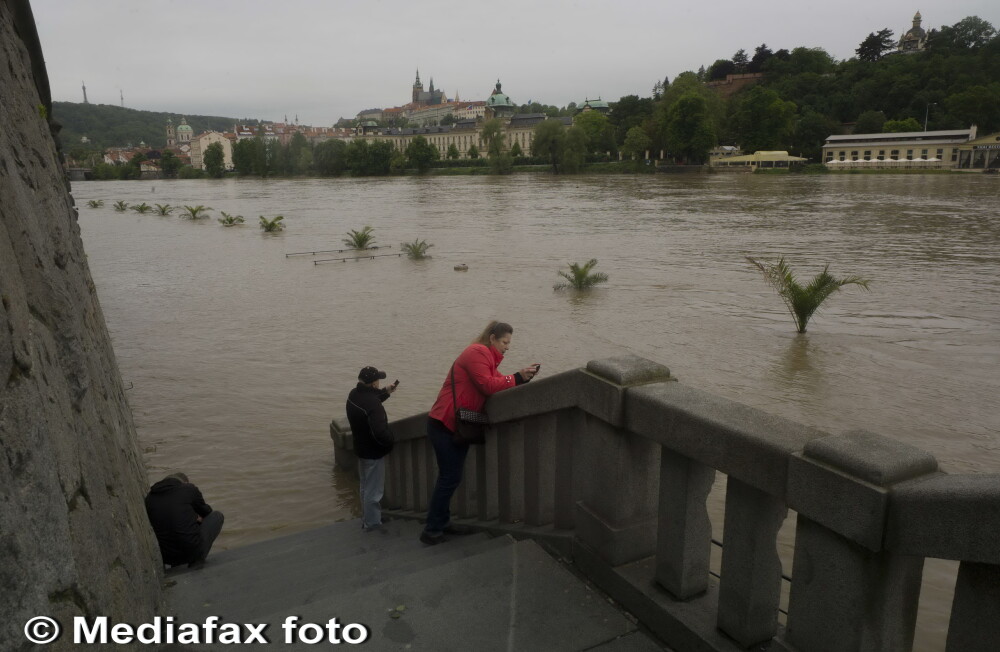 Stare de urgenta in 4 tari din Europa. Oficialii se tem ca Dunarea ar putea depasi nivelul din 2002 - Imaginea 1