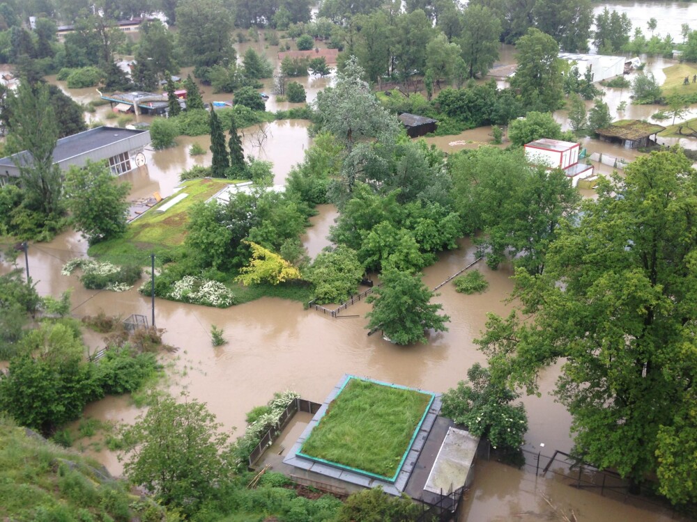 Stare de urgenta in 4 tari din Europa. Oficialii se tem ca Dunarea ar putea depasi nivelul din 2002 - Imaginea 5