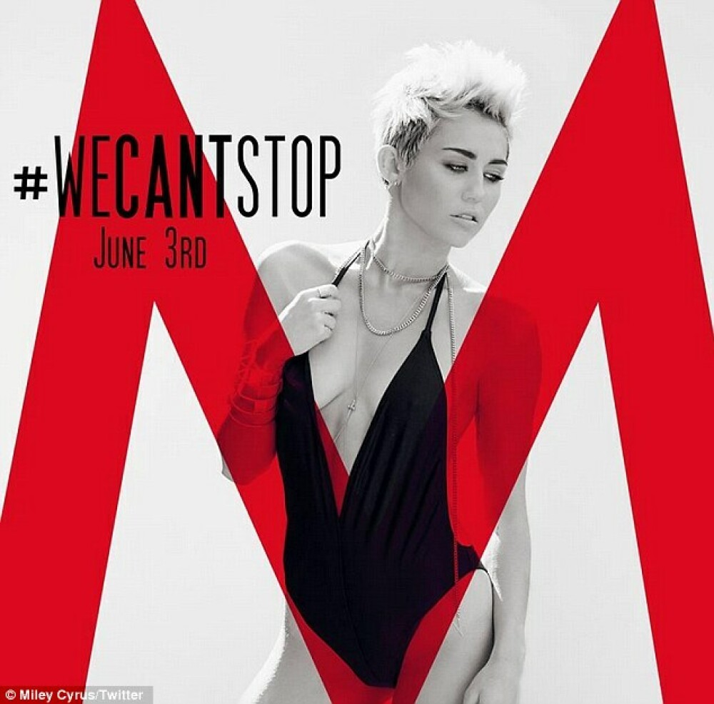 Miley Cyrus, intr-o ipostaza provocatoare, inspirata de Borat. Accesoriul pe care toti l-au ratat - Imaginea 2
