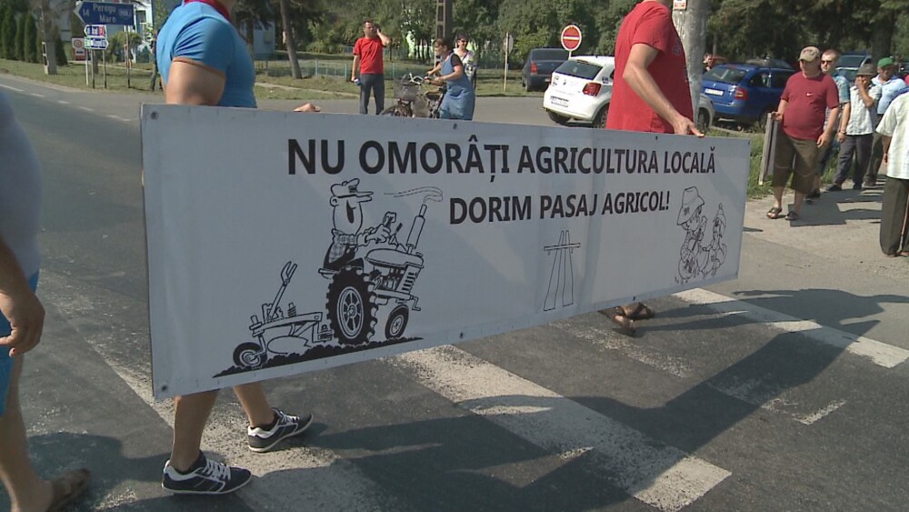 Protest la Nadlac. Agricultorii, nemultumiti ca nu pot ajunge la terenuri din cauza autostrazii - Imaginea 4