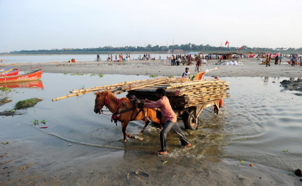 Calamitate naturala in India: 550 de persoane au murit in urma ploilor musonice. GALERIE FOTO - Imaginea 9