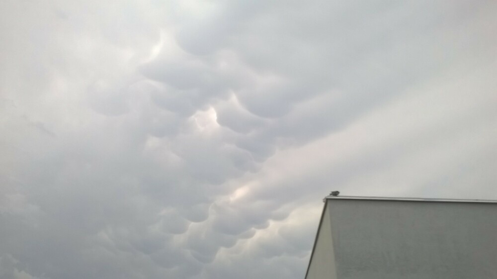 Fenomen impresionant pe cerul Timisoarei. Norii mammatus i-au facut pe toti sa-si scoata aparatele foto - Imaginea 3