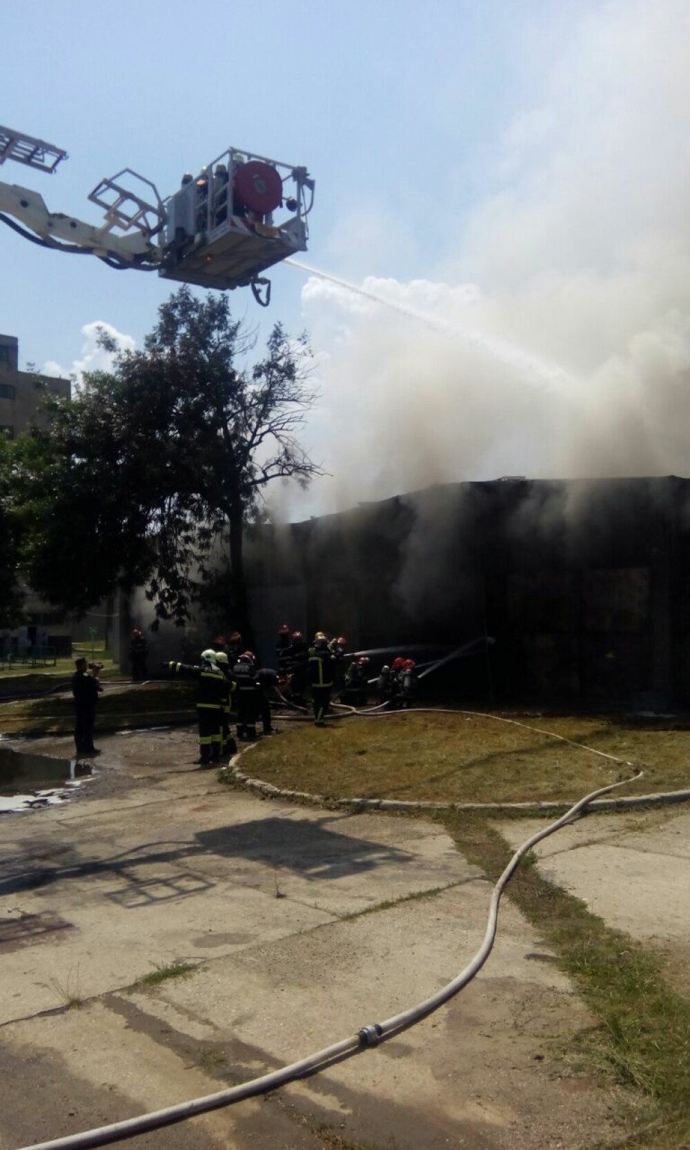 Incendiu la un depozit de produse chimice din Bucuresti. A fost nevoie de 25 de masini de pompieri ca sa il stinga - Imaginea 5