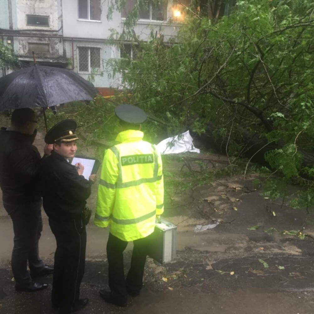 Ploile torentiale au facut o victima in Chisinau. Mai multe persoane sunt prinse intr-o masina strivita de un arbore - Imaginea 3