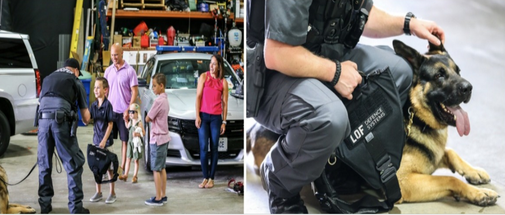 Suma uriașă strânsă de un băiețel pentru a le cumpăra câinilor polițiști veste antiglonț - Imaginea 4