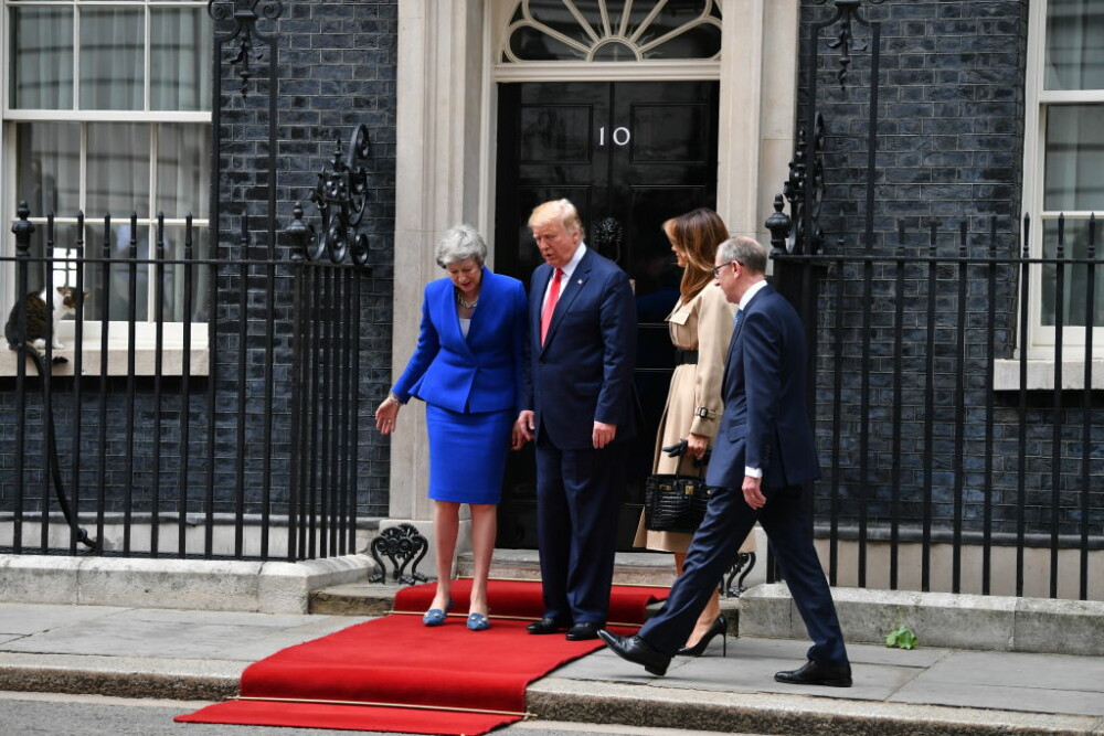 Motanul Larry a provocat haos în timpul vizitei lui Trump la Londra. Unde s-a ascuns - Imaginea 2