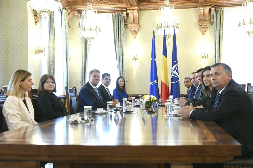 Consultări la Cotroceni. Dăncilă i-a propus lui Iohannis un ”grup de lucru” care să aplice rezultatul referendumului - Imaginea 4