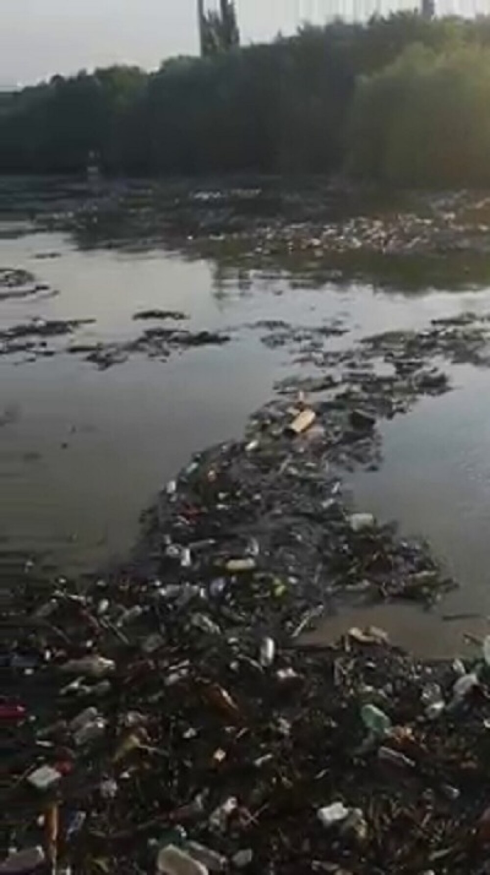 Poluare pe Dunăre. Video cu tonele de deșeuri strânse la Galați, după inundații - Imaginea 7