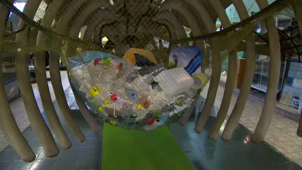 Semnal de alarmă: 40000 de sticle de plastic sunt aruncate în fiecare minut în Mediterană - Imaginea 2