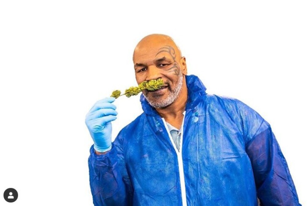 Cum arată plantația de marijuana a lui Mike Tyson. „M-am gândit cât bine pot face”. FOTO - Imaginea 7