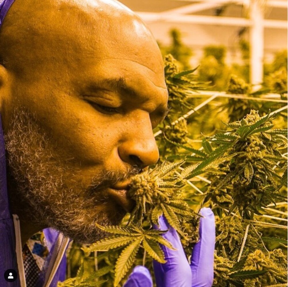 Cum arată plantația de marijuana a lui Mike Tyson. „M-am gândit cât bine pot face”. FOTO - Imaginea 6