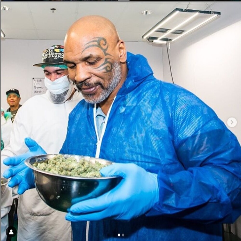 Cum arată plantația de marijuana a lui Mike Tyson. „M-am gândit cât bine pot face”. FOTO - Imaginea 4