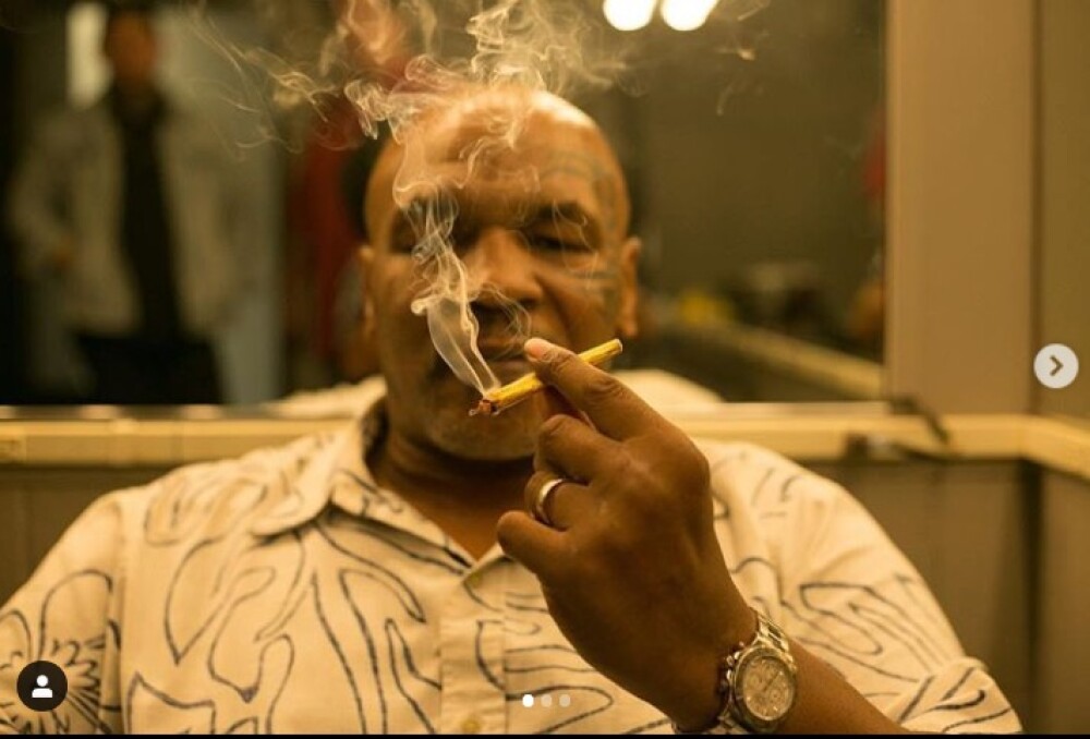 Cum arată plantația de marijuana a lui Mike Tyson. „M-am gândit cât bine pot face”. FOTO - Imaginea 3