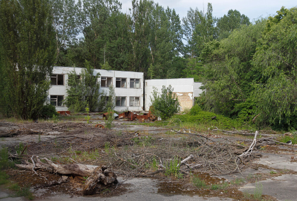 Fenomen bizar la Cernobîl. Ce se întâmplă în zona de excludere după difuzarea serialului - Imaginea 37