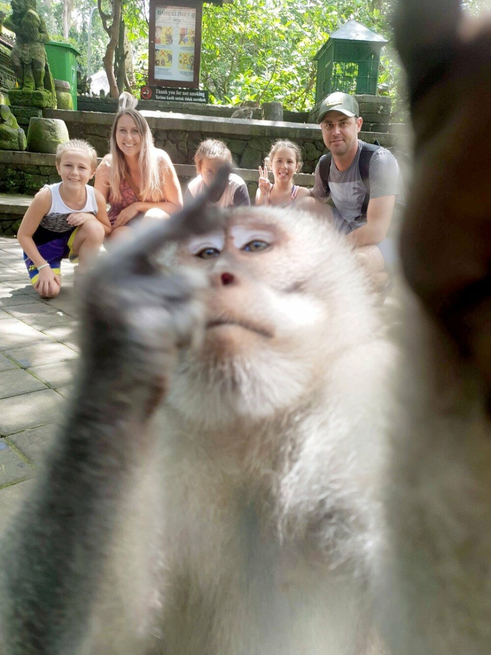 Momentul în care o maimuță strică fotografia unei familii. Gestul obscen făcut de animal - Imaginea 4