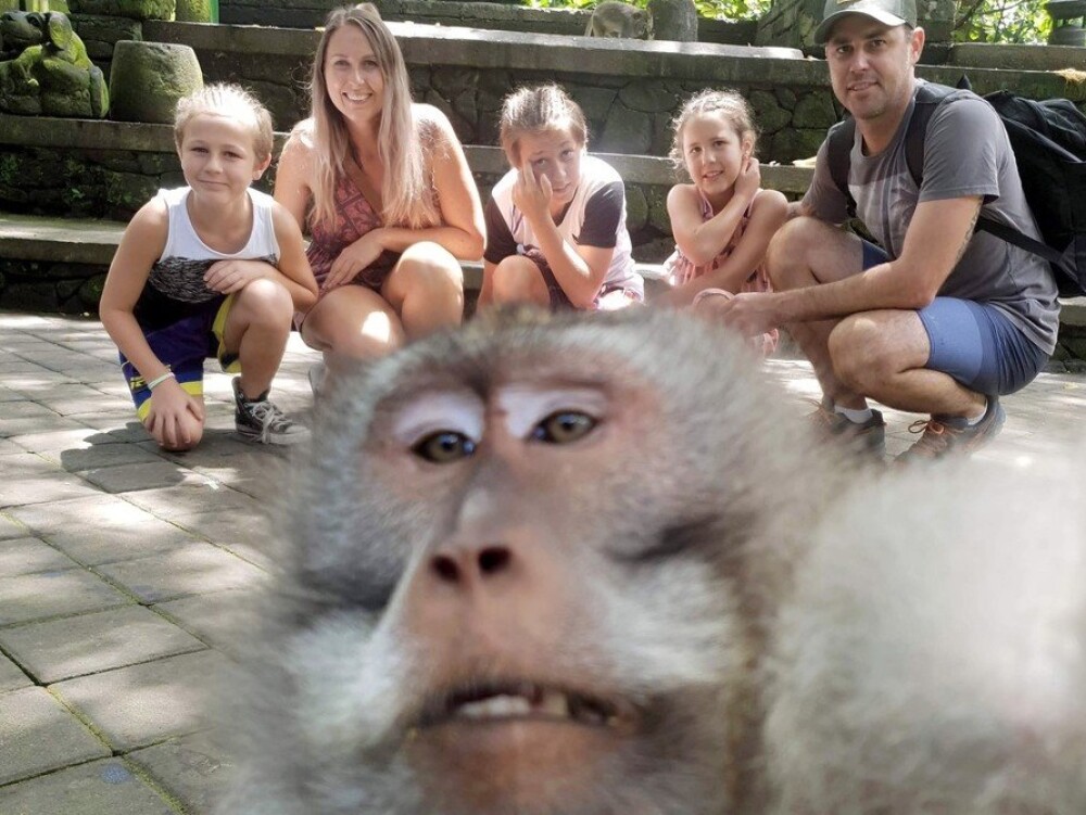Momentul în care o maimuță strică fotografia unei familii. Gestul obscen făcut de animal - Imaginea 5