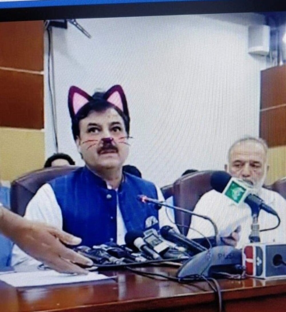 Politicieni cu mustăți și urechi de pisică, în timpul unei ședințe. Momentul, transmis live - Imaginea 5