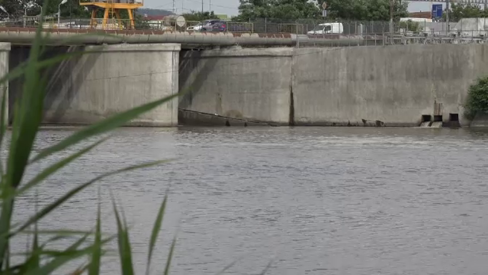 Descoperire macabră făcută de un bărbat plecat la pescuit, pe Mureș - Imaginea 3