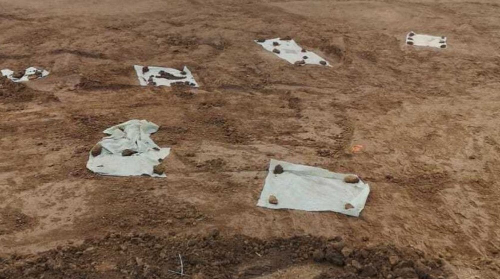 Mai multe gropi cu oseminte au fost descoperite pe şantierul drumului expres Craiova-Piteşti (Video) - Imaginea 1