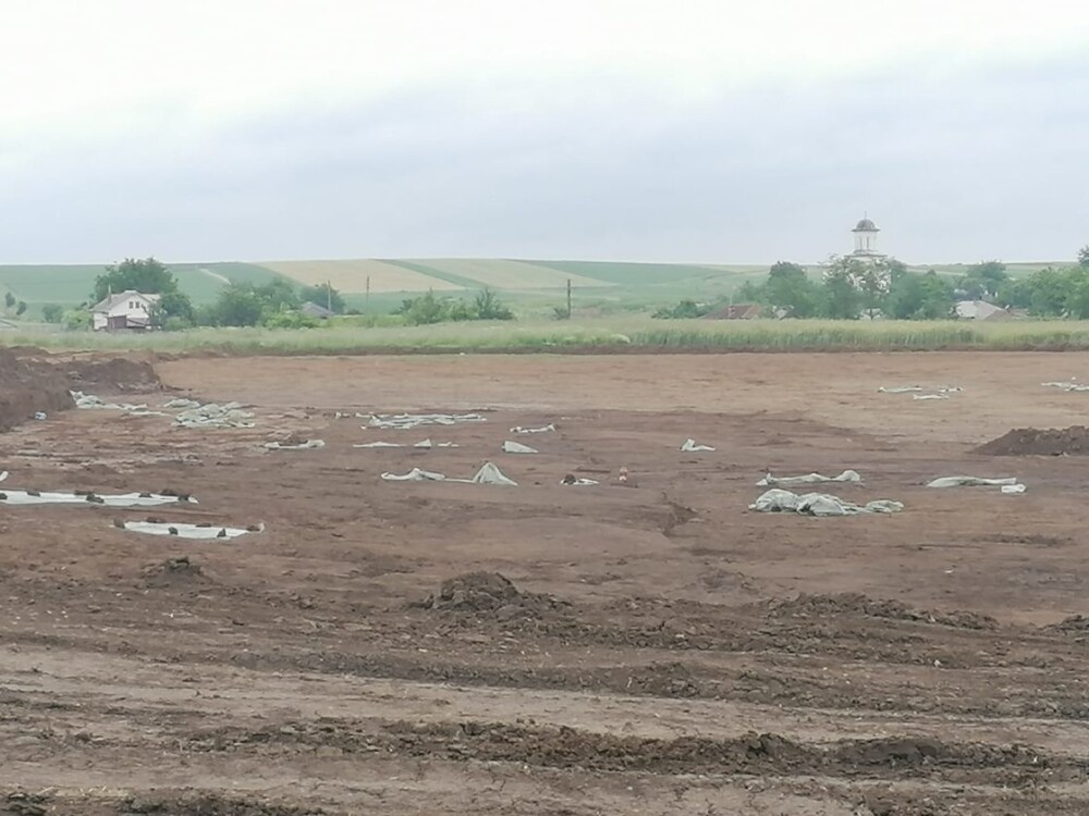 Mai multe gropi cu oseminte au fost descoperite pe şantierul drumului expres Craiova-Piteşti (Video) - Imaginea 3