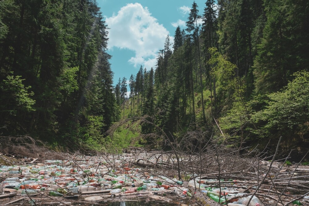 Tone de gunoaie au acoperit cel mai frumos lac din Munții Apuseni. Autoritățile dau vina pe turiști - Imaginea 4