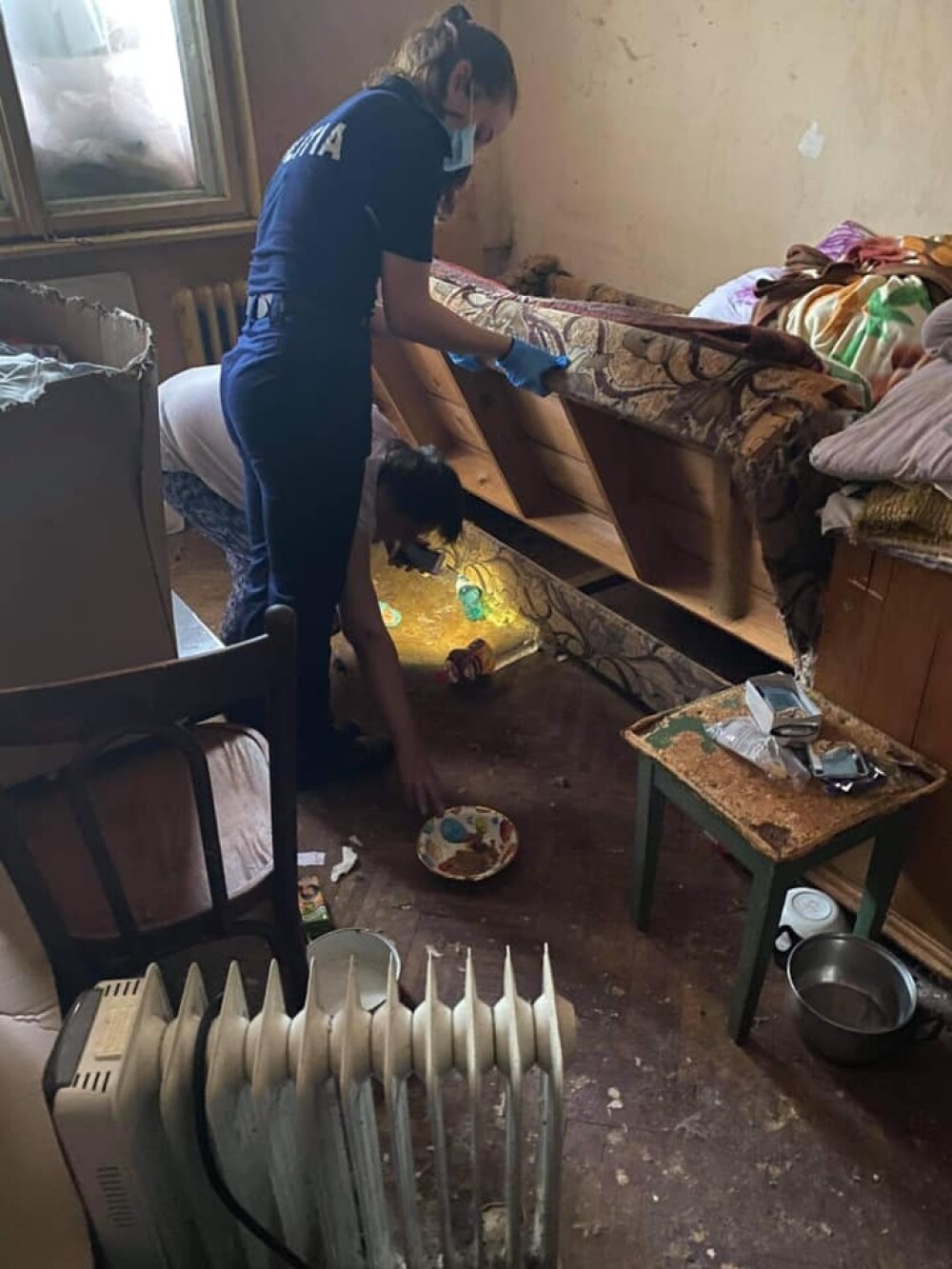 18 pisici și 5 câini, salvați dintr-un apartament din Botoșani. În ce condiții trăiau animalele. GALERIE FOTO - Imaginea 1