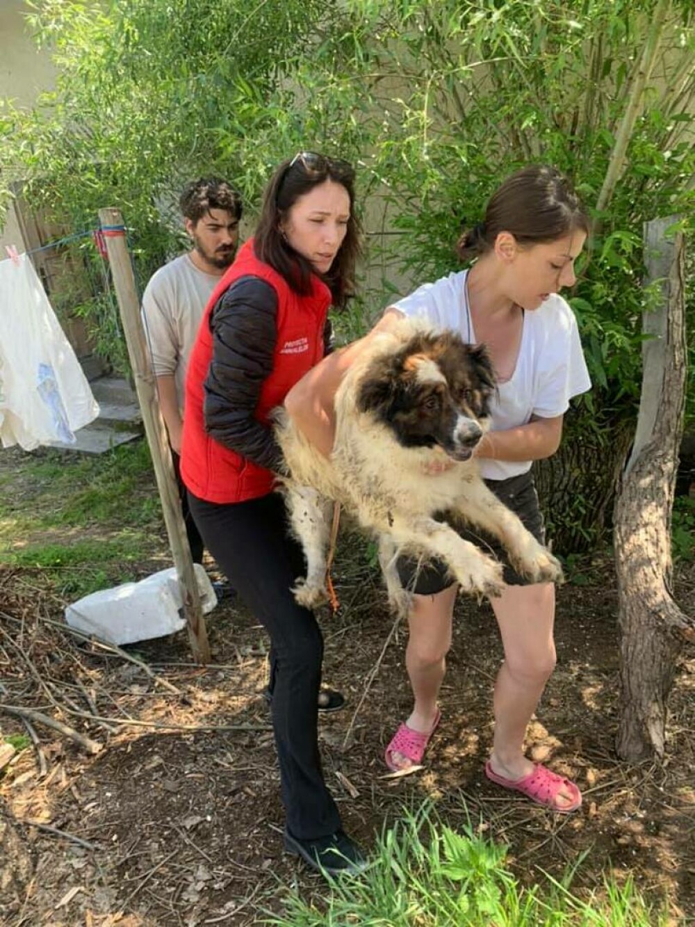 O femeie din Suceava a trăit 3 ani închisă în podul casei, alături de câinii săi. ”Cel mai revoltător caz de degradare umană” - Imaginea 7